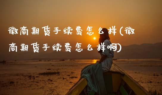 徽商期货手续费怎么样(徽商期货手续费怎么样啊)