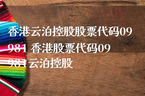 香港云泊控股股票代码09981 香港股票代码09981云泊控股_https://www.dglong8.com_股票理财_第1张