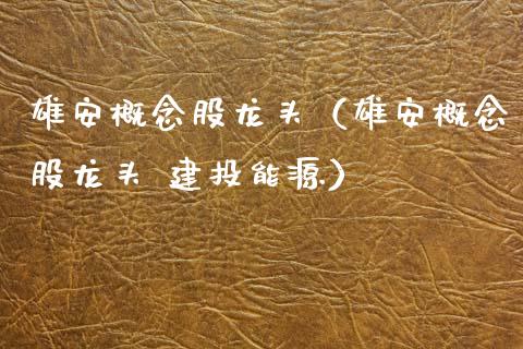 雄安概念股龙头（雄安概念股龙头 建投能源）