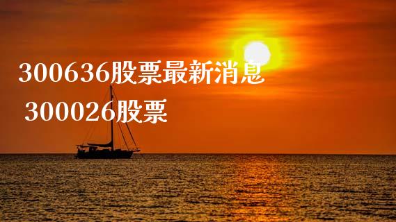 300636股票最新消息 300026股票