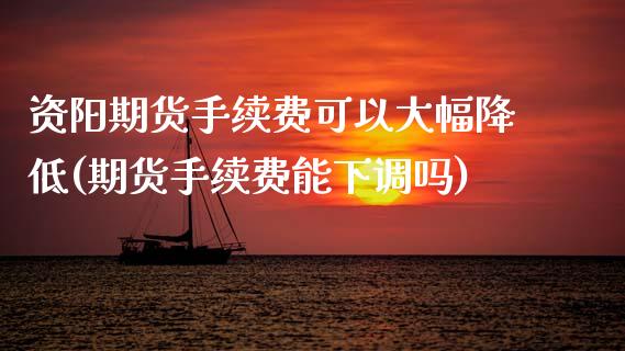 资阳期货手续费可以大幅降低(期货手续费能下调吗)