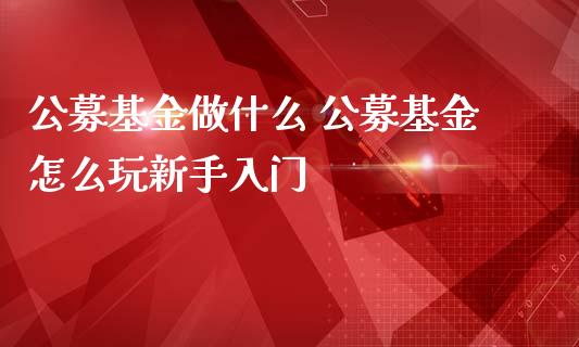 公募基金做什么 公募基金怎么玩新手入门_基金理财_第1张_宇龙理财网 公募基金做什么 公募基金怎么玩新手入门_https://www.dglong8.com_基金理财_第1张