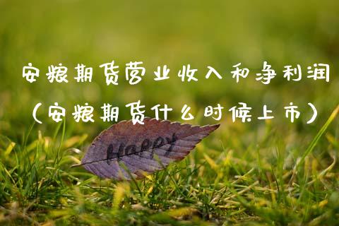 安粮期货营业收入和净利润（安粮期货什么时候上市）