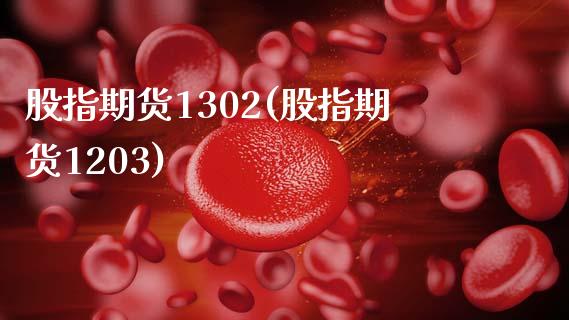 股指期货1302(股指期货1203)