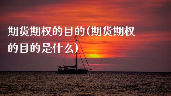 期货期权的目的(期货期权的目的是什么)