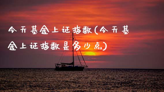 今天基金上证指数(今天基金上证指数是多少点)