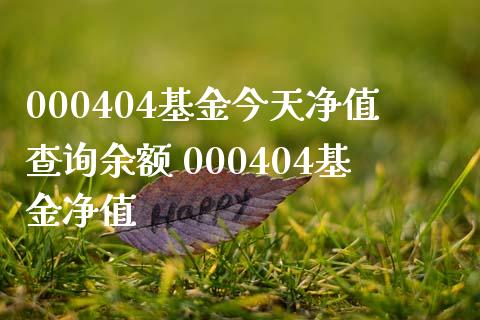 000404基金今天净值查询余额 000404基金净值