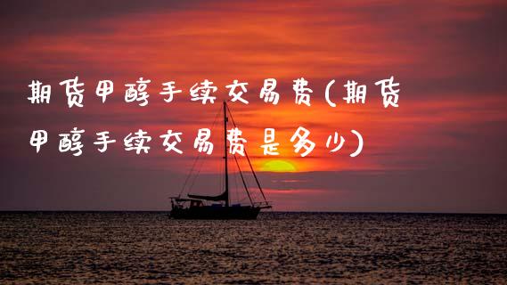 期货甲醇手续交易费(期货甲醇手续交易费是多少)