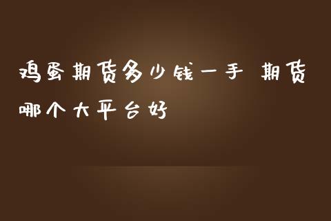 鸡蛋期货多少钱一手 期货哪个大平台好