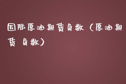 国际原油期货负数（原油期货 负数）