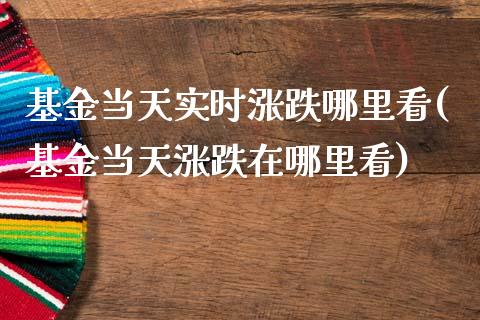 基金当天实时涨跌哪里看(基金当天涨跌在哪里看)