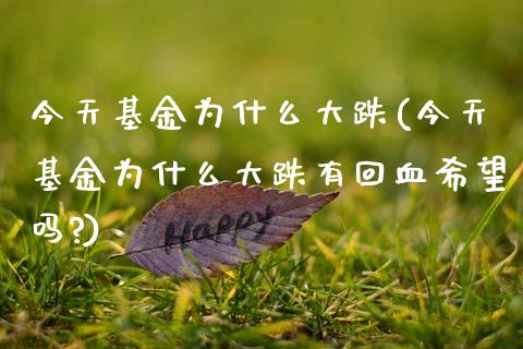 今天基金为什么大跌(今天基金为什么大跌有回血希望吗?)