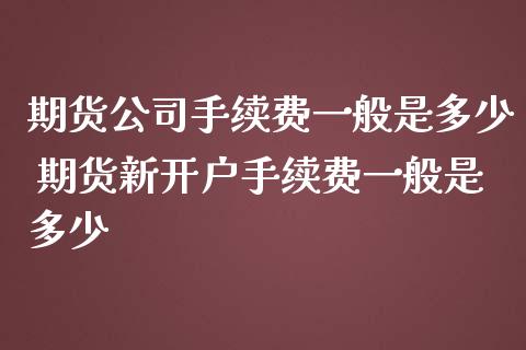 期货公司手续费一般是多少 期货新开户手续费一般是多少