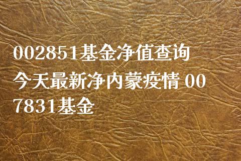 002851基金净值查询今天最新净内蒙 007831基金