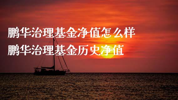 鹏华治理基金净值怎么样 鹏华治理基金历史净值