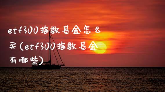 etf300指数基金怎么买(etf300指数基金有哪些)