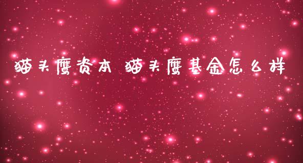 猫头鹰资本 猫头鹰基金怎么样