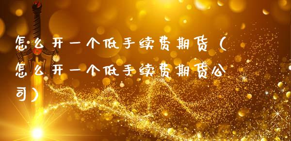 怎么开一个低手续费期货（怎么开一个低手续费期货公司）