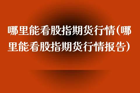 哪里能看股指期货行情(哪里能看股指期货行情报告)