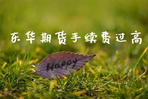 东华期货手续费过高