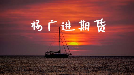 杨广进期货