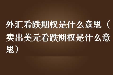外汇看跌期权是什么意思（卖出美元看跌期权是什么意思）