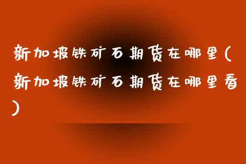 新加坡铁矿石期货在哪里(新加坡铁矿石期货在哪里看)