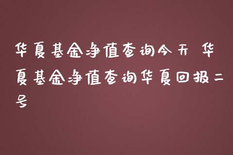 华夏基金净值查询今天 华夏基金净值查询华夏回报二号