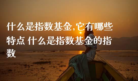 什么是指数基金,它有哪些特点 什么是指数基金的指数_基金理财_第1张_宇龙理财网 什么是指数基金,它有哪些特点 什么是指数基金的指数_https://www.dglong8.com_基金理财_第1张