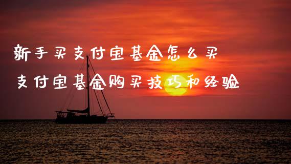 新手买支付宝基金怎么买 支付宝基金购买技巧和经验