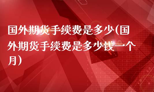 国外期货手续费是多少(国外期货手续费是多少钱一个月)