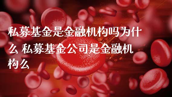 私募基金是金融机构吗为什么 私募基金公司是金融机构么