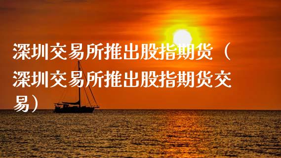 深圳交易所推出股指期货（深圳交易所推出股指期货交易）