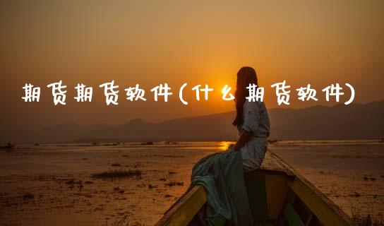 期货期货软件(什么期货软件)
