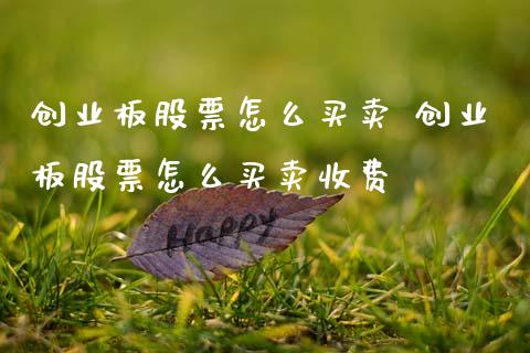 创业板股票怎么买卖 创业板股票怎么买卖收费_股票理财_第1张_宇龙理财网 创业板股票怎么买卖 创业板股票怎么买卖收费_https://www.dglong8.com_股票理财_第1张