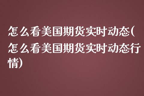 怎么看美国期货实时动态(怎么看美国期货实时动态行情)
