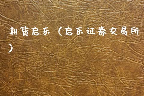 期货启东（启券交易所）