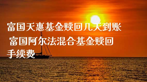富国天惠基金赎回几天到账 富国阿尔法混合基金赎回手续费