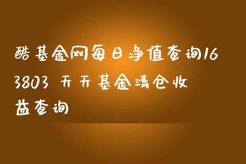酷基金网每日净值查询163803 天天基金收益查询