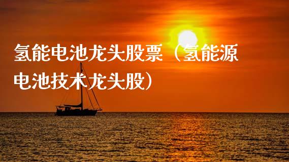 氢能电池龙头股票（氢能源电池技术龙头股）