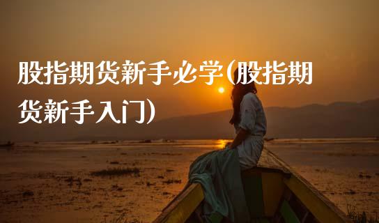 股指期货新手必学(股指期货新手入门)