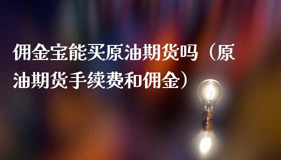 佣金宝能买原油期货吗（原油期货手续费和佣金）