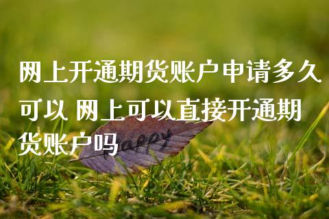 网上开通期货账户申请多久可以 网上可以直接开通期货账户吗