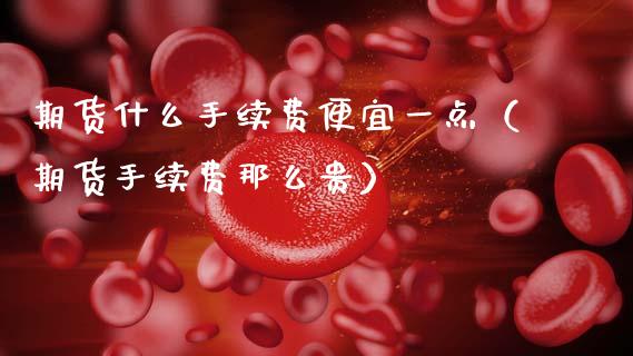 期货什么手续费便宜一点（期货手续费那么贵）