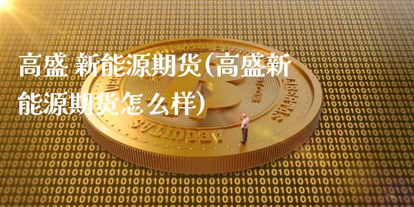 高盛 新能源期货(高盛新能源期货怎么样)