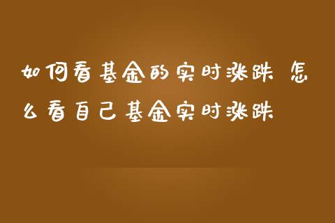 如何看基金的实时涨跌 怎么看自己基金实时涨跌