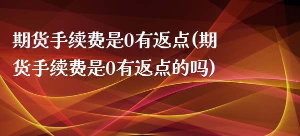 期货手续费是0有返点(期货手续费是0有返点的吗)