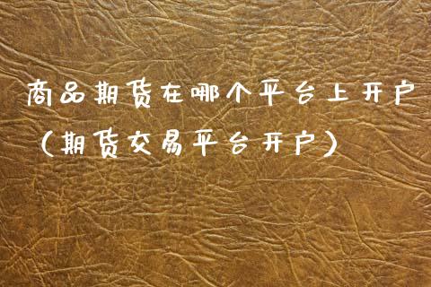 商品期货在哪个平台上开户（期货交易平台开户）