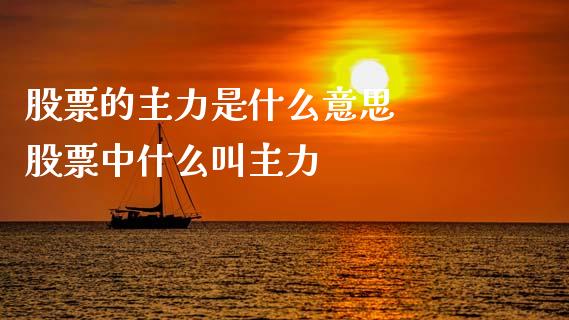 股票的主力是什么意思  股票中什么叫主力