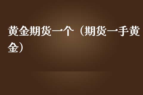 黄金期货一个（期货一手黄金）